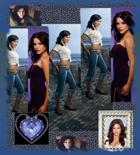 montage de brooke